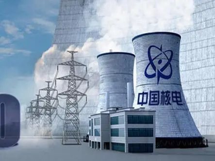中核苏阀应用案例——核电行业